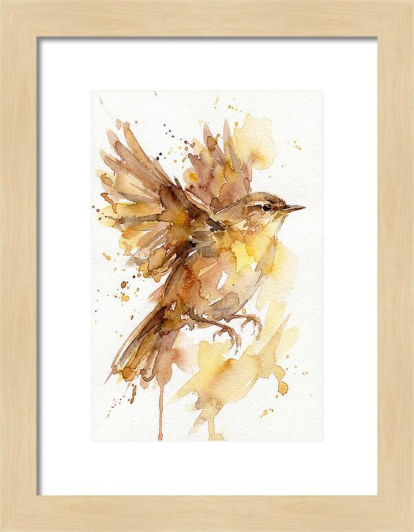 Wren In Flight