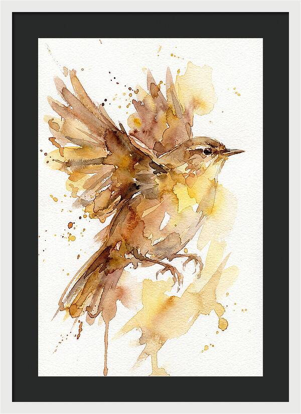 Wren In Flight