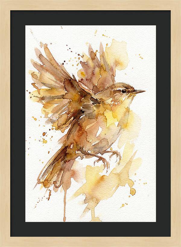 Wren In Flight