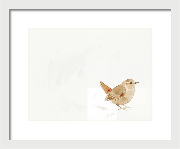 Wren In Minimalist Style