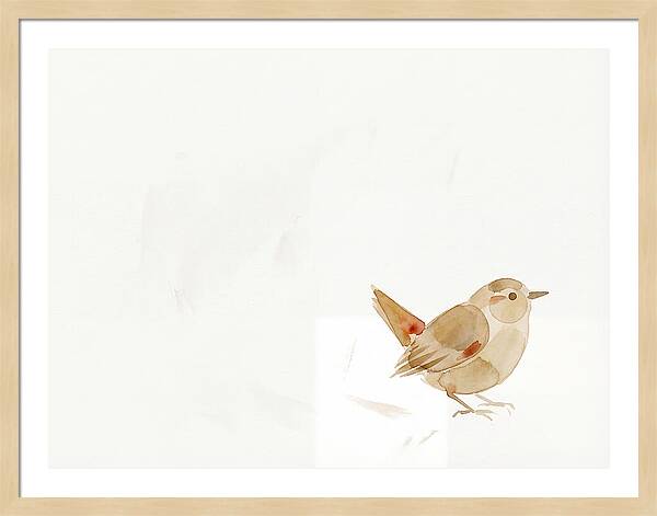 Wren In Minimalist Style