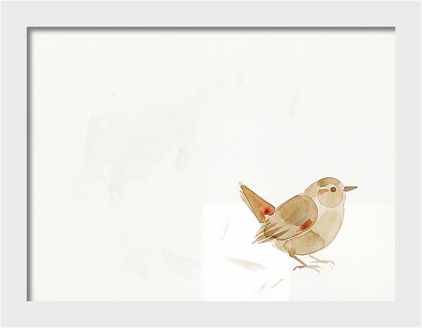 Wren In Minimalist Style
