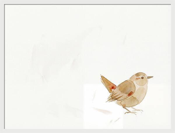 Wren In Minimalist Style