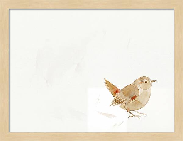 Wren In Minimalist Style