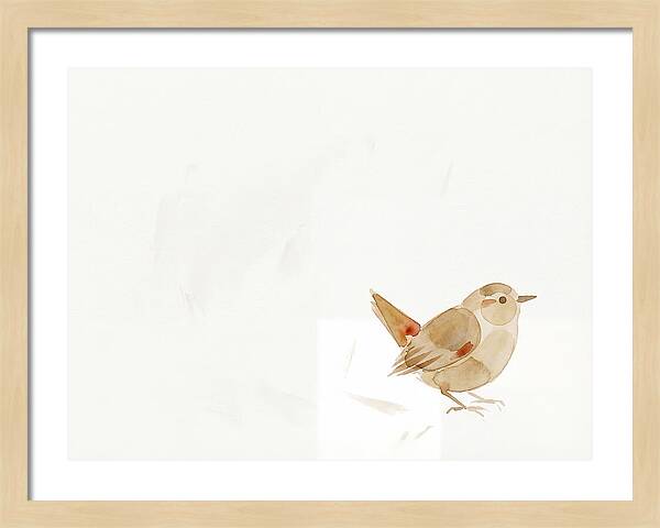Wren In Minimalist Style