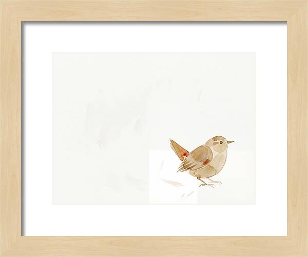 Wren In Minimalist Style