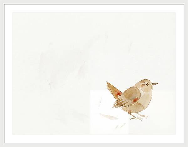 Wren In Minimalist Style