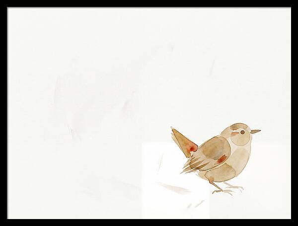Wren In Minimalist Style