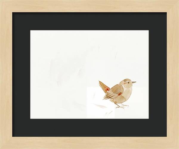 Wren In Minimalist Style