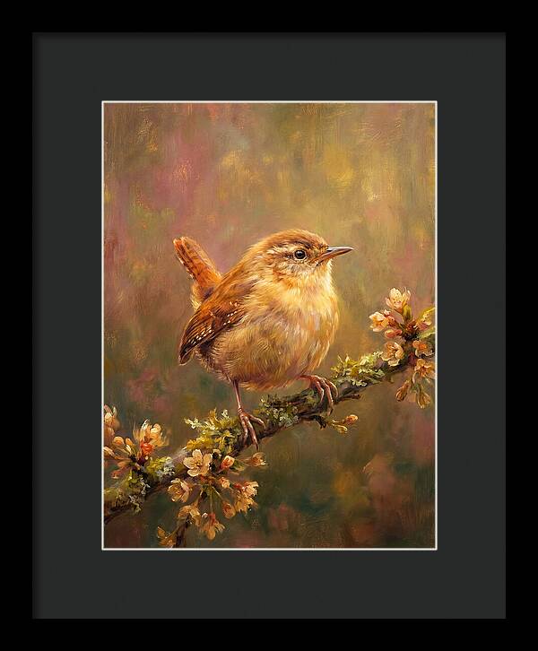 Wren Perched On Blossom