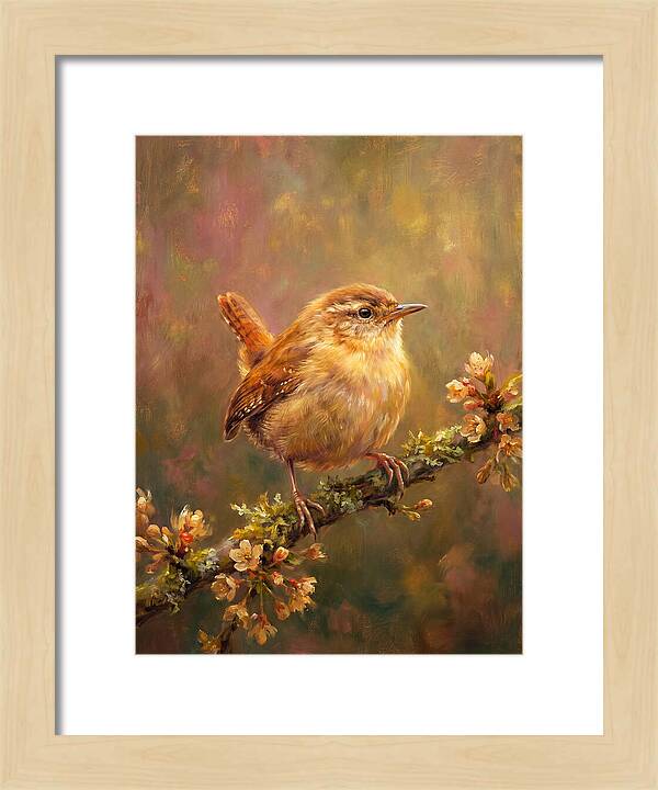 Wren Perched On Blossom