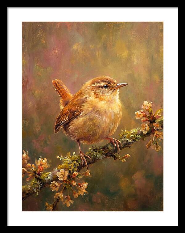 Wren Perched On Blossom