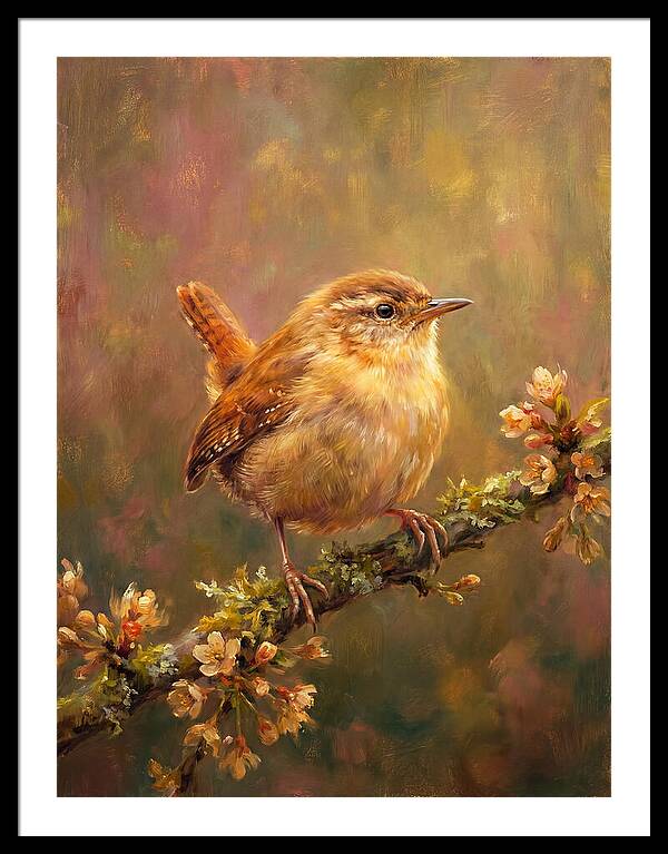 Wren Perched On Blossom