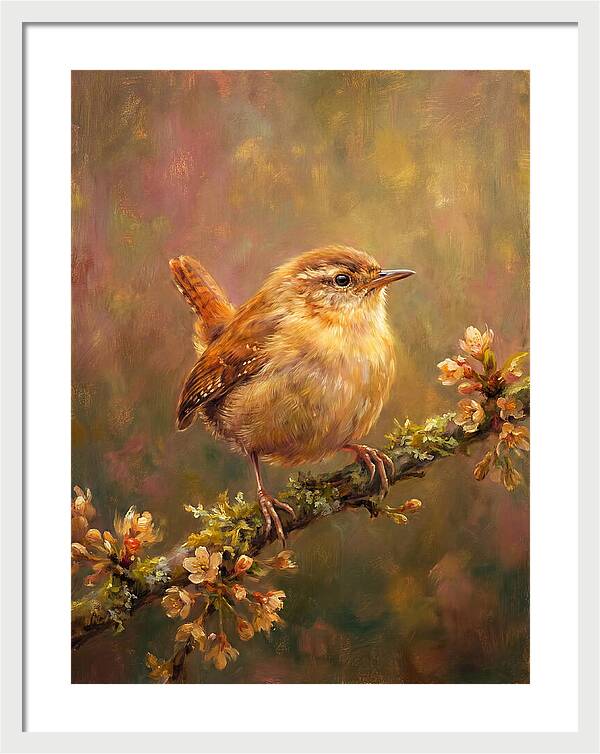 Wren Perched On Blossom