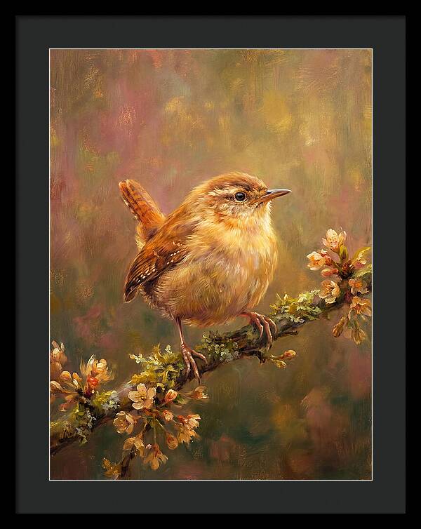 Wren Perched On Blossom