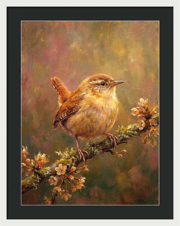 Wren Perched On Blossom