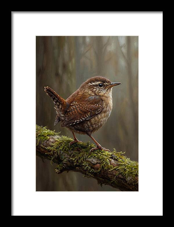 Wren Perched On Mossy Branch