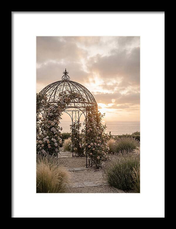 Wrought Iron Gazebo In Rose Garden