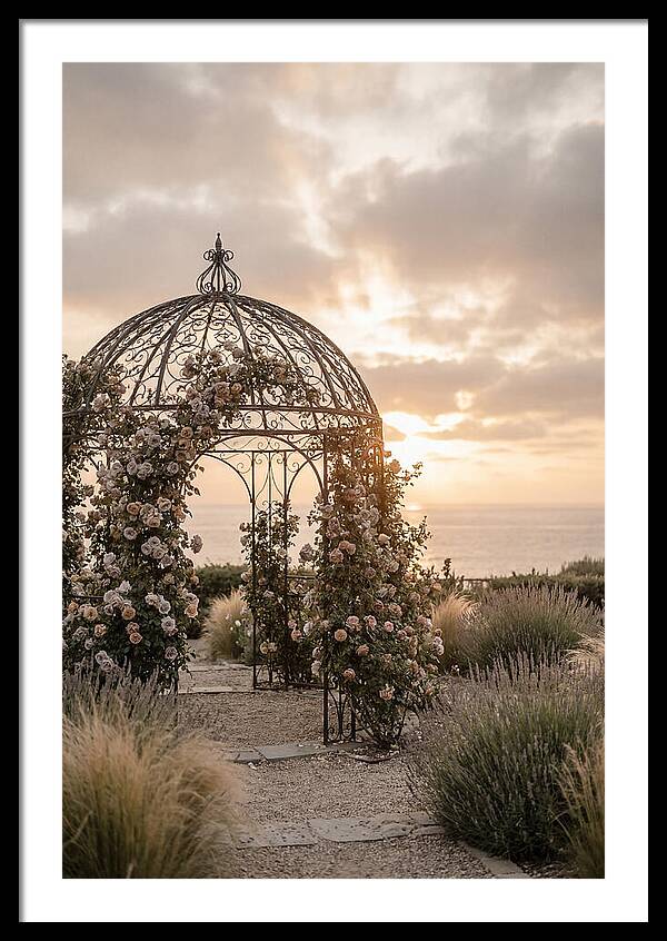 Wrought Iron Gazebo In Rose Garden