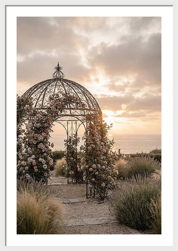 Wrought Iron Gazebo In Rose Garden