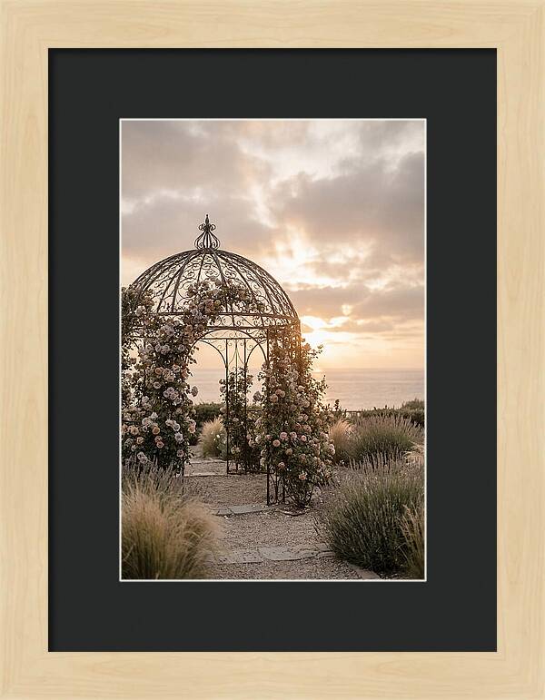 Wrought Iron Gazebo In Rose Garden