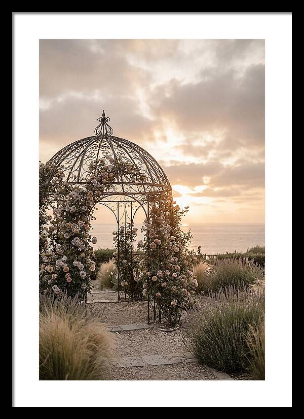 Wrought Iron Gazebo In Rose Garden