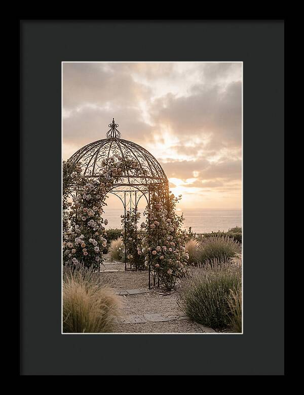 Wrought Iron Gazebo In Rose Garden