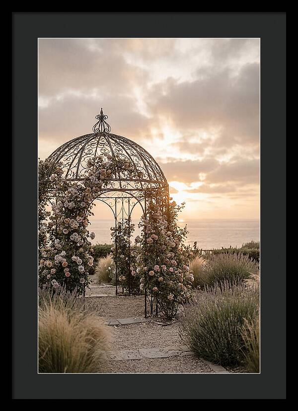 Wrought Iron Gazebo In Rose Garden