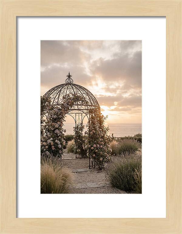 Wrought Iron Gazebo In Rose Garden