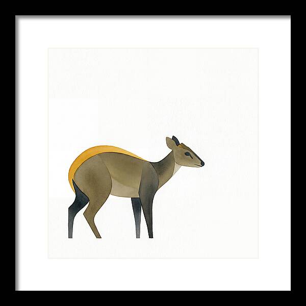 Yellow Backed Duiker Illustration