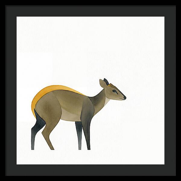 Yellow Backed Duiker Illustration