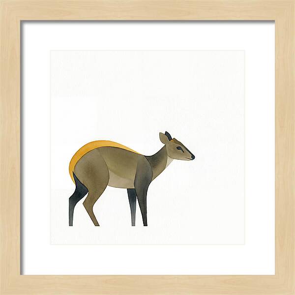 Yellow Backed Duiker Illustration