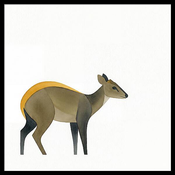 Yellow Backed Duiker Illustration