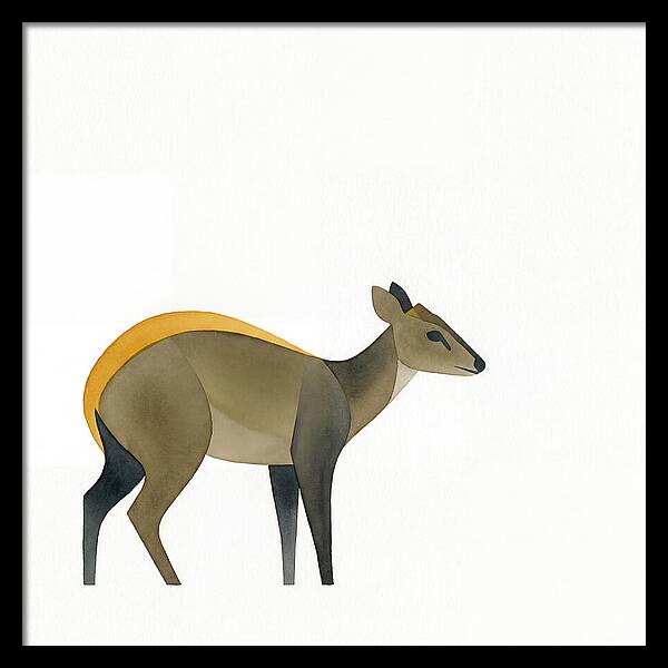 Yellow Backed Duiker Illustration