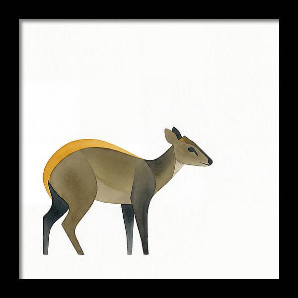 Yellow Backed Duiker Illustration
