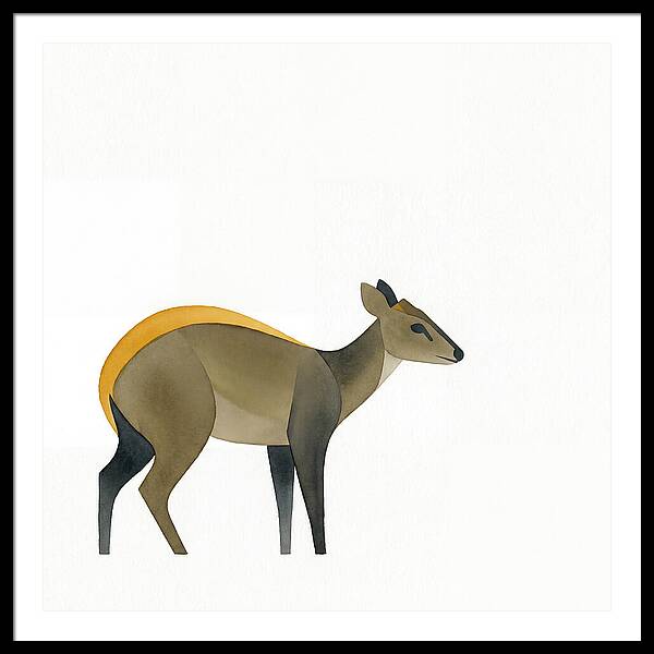 Yellow Backed Duiker Illustration