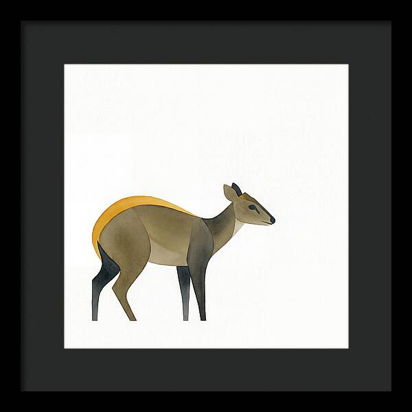 Yellow Backed Duiker Illustration