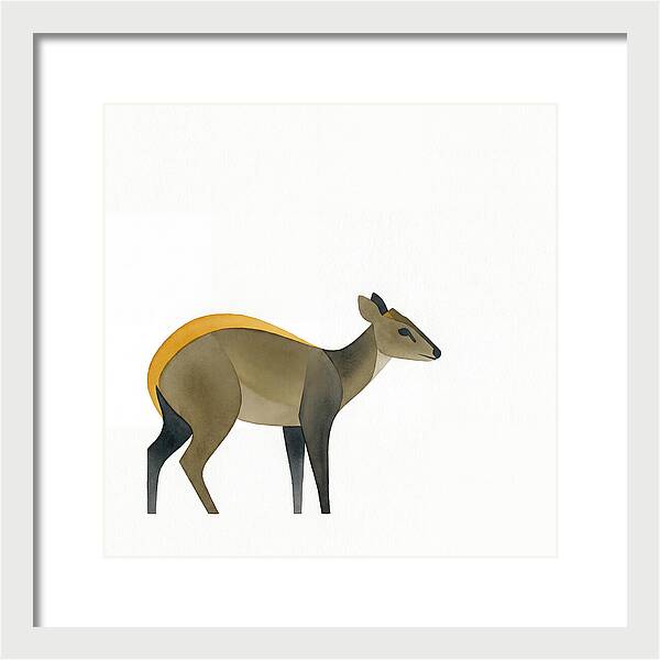 Yellow Backed Duiker Illustration