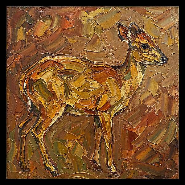 Yellow Backed Duiker In Earth Tones
