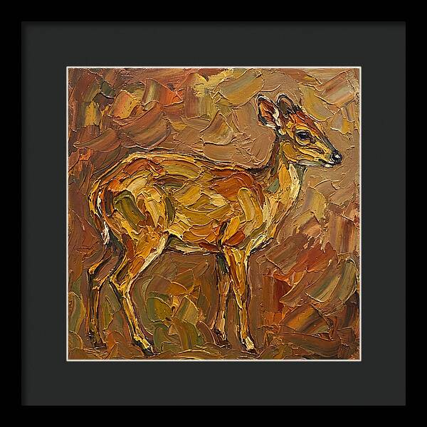 Yellow Backed Duiker In Earth Tones