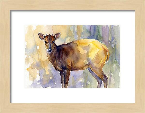 Yellow Backed Duiker Watercolor