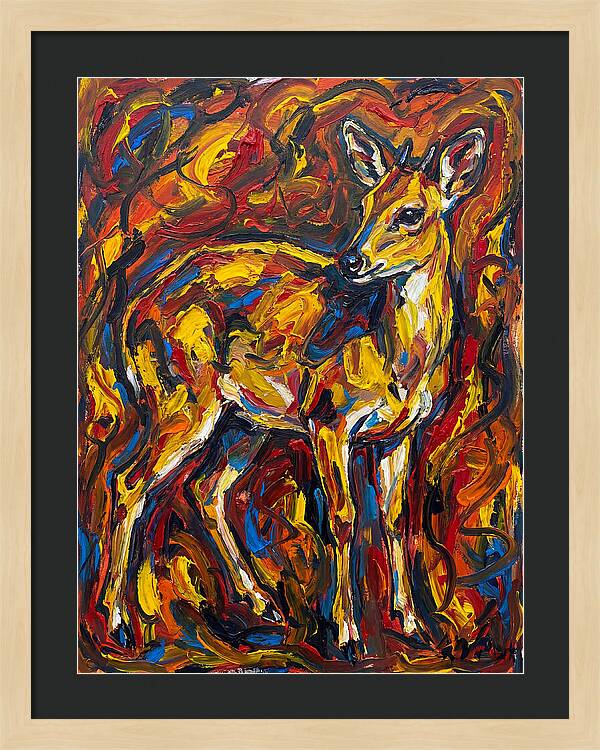 Yellow Banded Duiker In Vibrant Hues