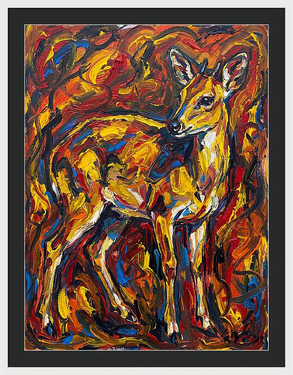 Yellow Banded Duiker In Vibrant Hues