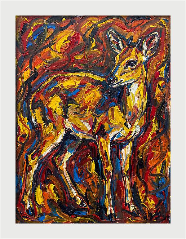 Yellow Banded Duiker In Vibrant Hues