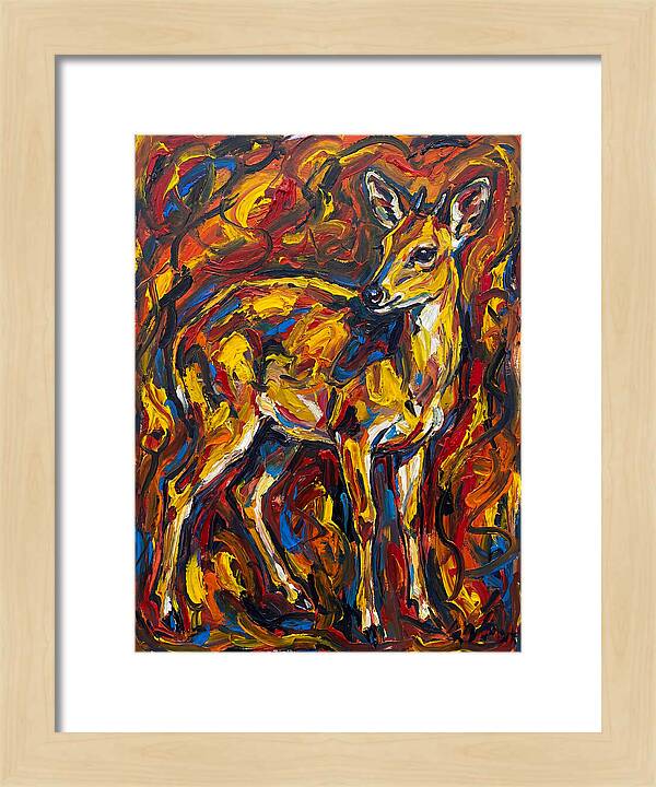 Yellow Banded Duiker In Vibrant Hues