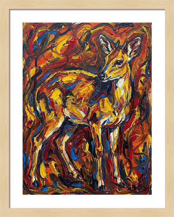Yellow Banded Duiker In Vibrant Hues