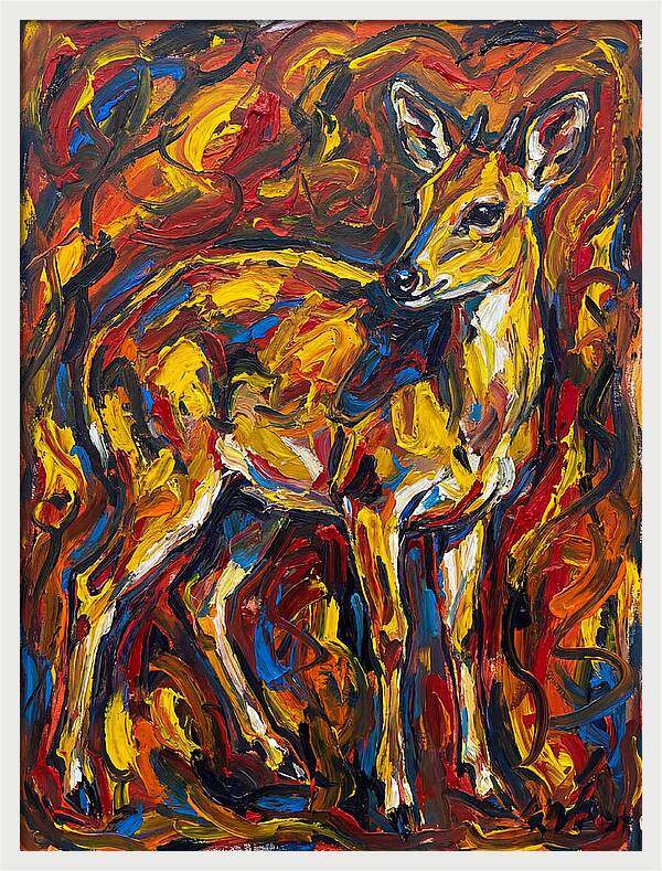 Yellow Banded Duiker In Vibrant Hues