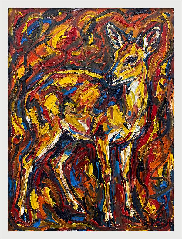 Yellow Banded Duiker In Vibrant Hues