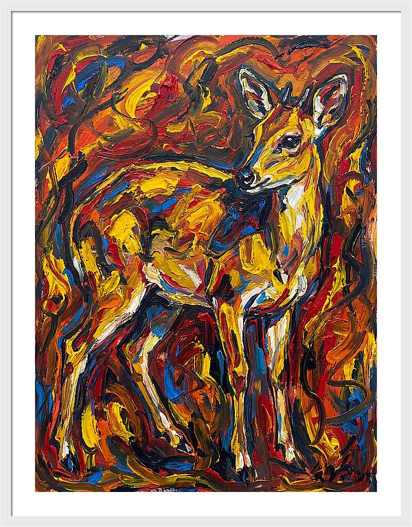 Yellow Banded Duiker In Vibrant Hues