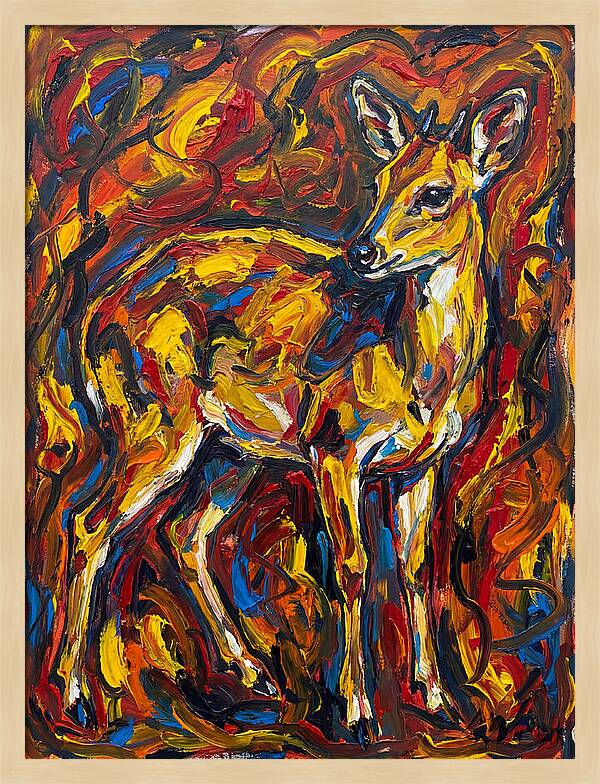 Yellow Banded Duiker In Vibrant Hues